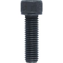 Schroef voor opzetbek mt.100mm M6x20 RÖHM